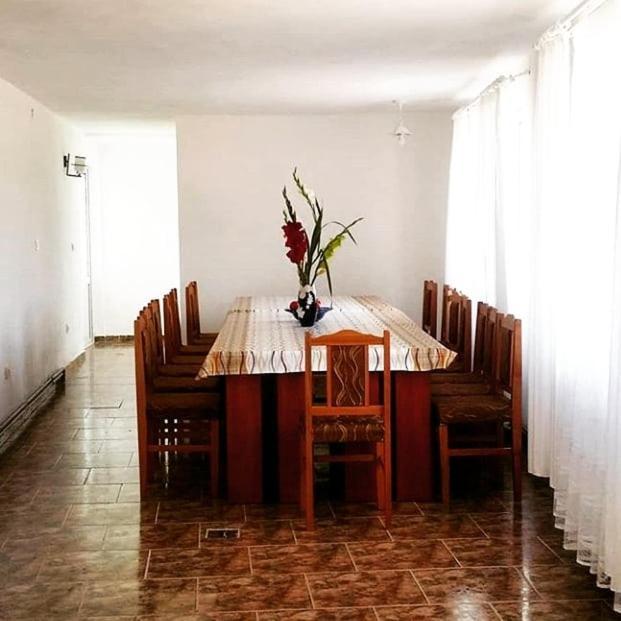 Casa Kotys Apartment Albestii Paminteni ภายนอก รูปภาพ