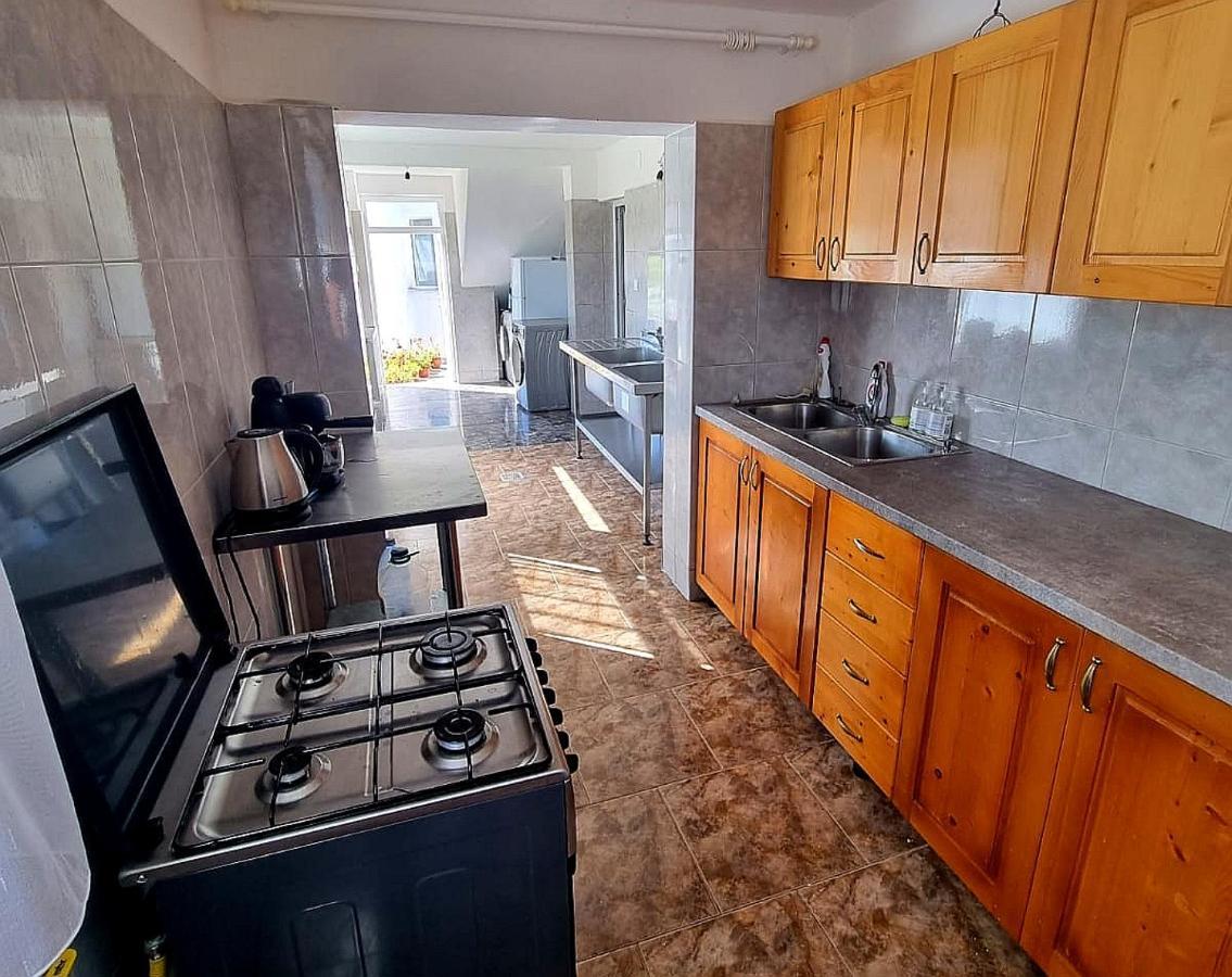 Casa Kotys Apartment Albestii Paminteni ภายนอก รูปภาพ