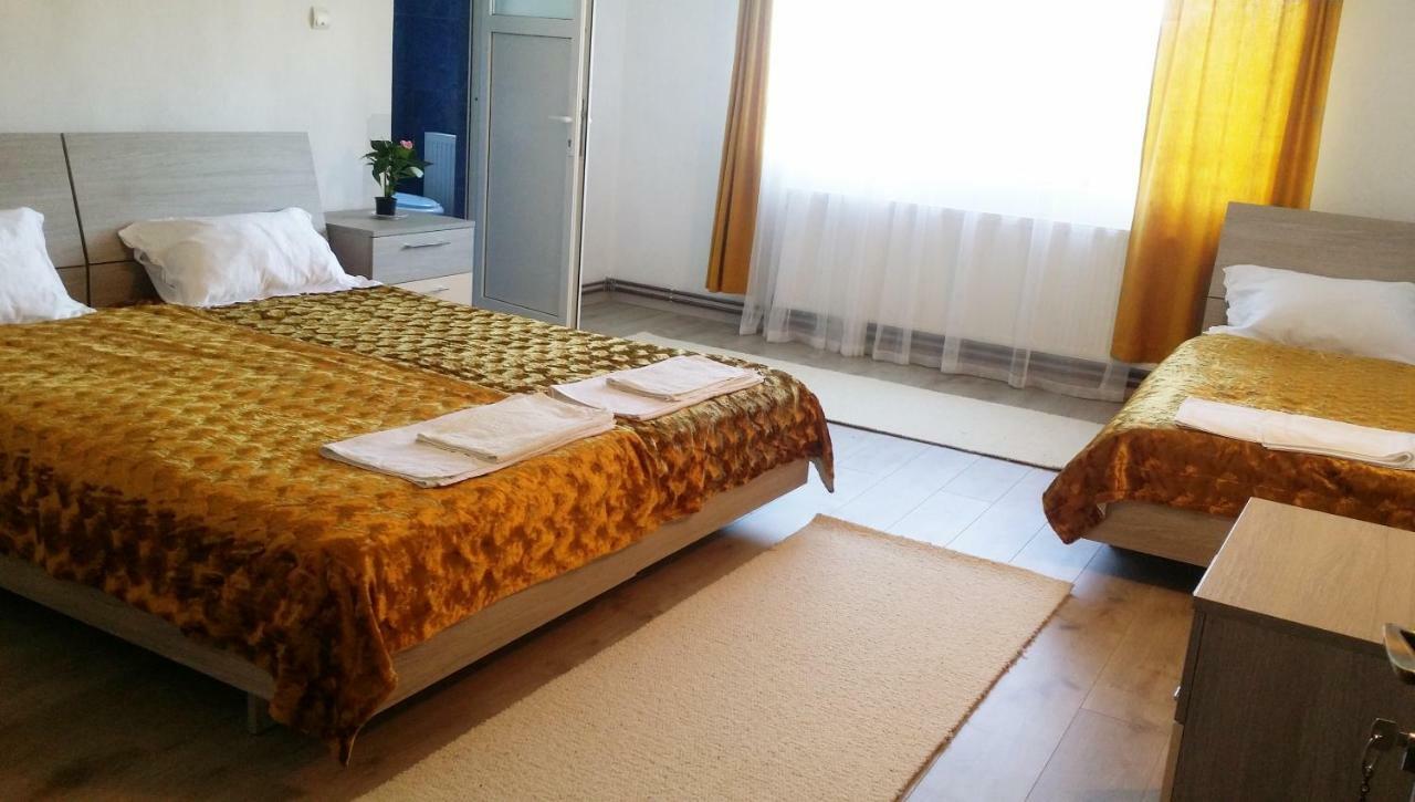 Casa Kotys Apartment Albestii Paminteni ภายนอก รูปภาพ
