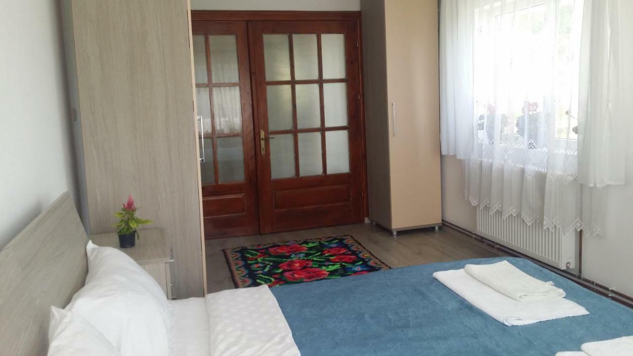 Casa Kotys Apartment Albestii Paminteni ภายนอก รูปภาพ